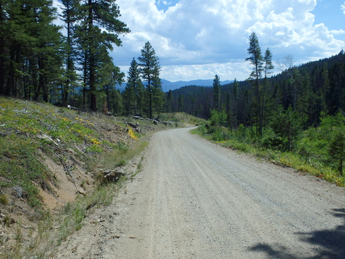 GDMBR: We're riding down Priest Pass Road.